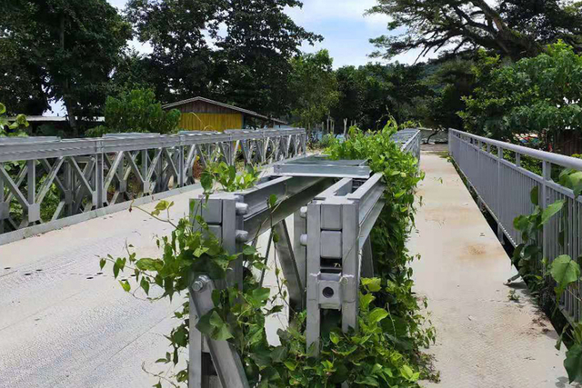 HD321-ਟਾਈਪ ਬੇਲੀ ਬ੍ਰਿਜ