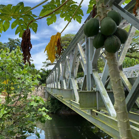 Hd321-வகை பெய்லி பாலம்